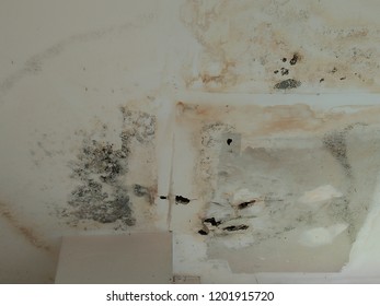 Ceiling Collapse Images Stock Photos Vectors Shutterstock