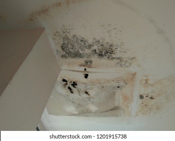 Ceiling Collapse Images Stock Photos Vectors Shutterstock