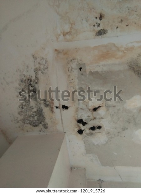 Ceiling Breaking Down Because Water Leakage Stock Photo