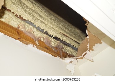 Ceiling fell from hurricane and water damage