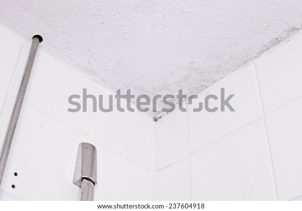 Ceiling Mould Due Condensation Bathroom Stock Photo Edit