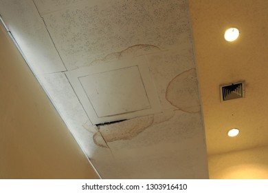 1000 Hole Ceiling Stock Images Photos Vectors Shutterstock