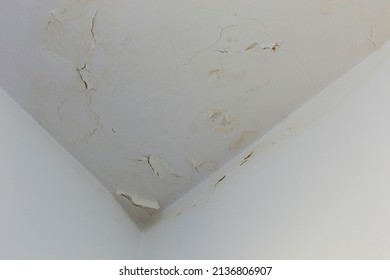 Ceiling With Peeling Paint, Water Infiltration