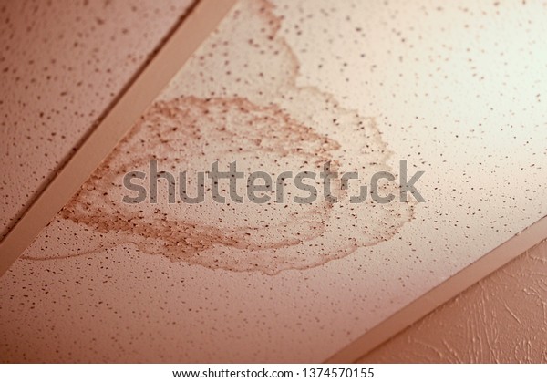 Ceiling Tile Water Stain On Stock Photo Edit Now 1374570155