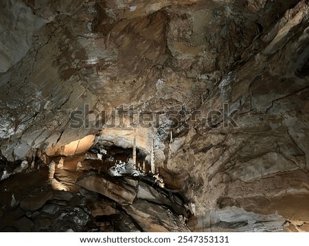 Ceiling in the Tuckaleechee Caverns