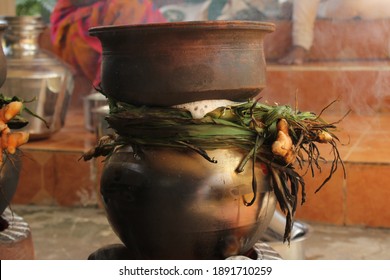 Celebrating Traditional Thai Pongal Festival To Sun God With Pot, Lamp,wood Fire Stove, Fruits And Sugarcane. Making Sakkarai Or Sugar Pongal And Ven Pongal In Sand Stove In Traditional Method.