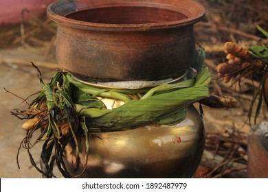 Celebrating Traditional Thai Pongal Festival To Sun God With Pot, Lamp,wood Fire Stove, Fruits And Sugarcane. Making Sakkarai Or Sugar Pongal And Ven Pongal In Sand Stove In Traditional Method.