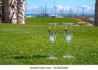 373 Champagne golf Images, Stock Photos & Vectors | Shutterstock