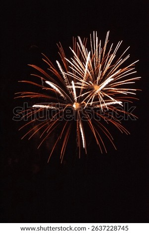 Celebration Fireworks on Puget Sound