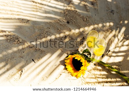 Celebration On Tropical Beach Concept Wine Stock Photo Edit Now