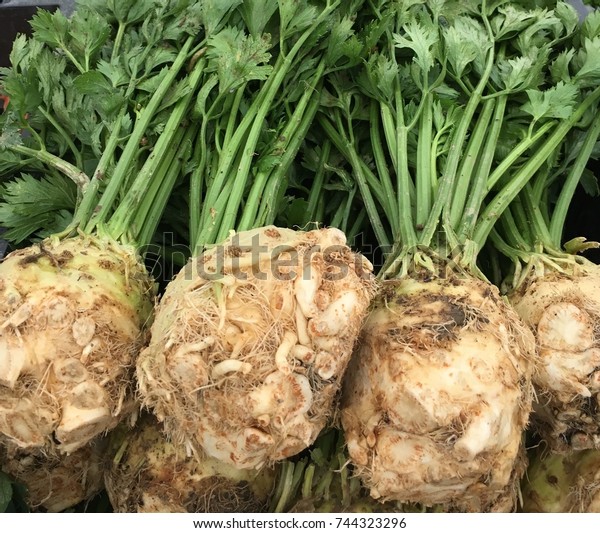 Celeriac; Frog prince of root vegetables at\
Farmers\' market