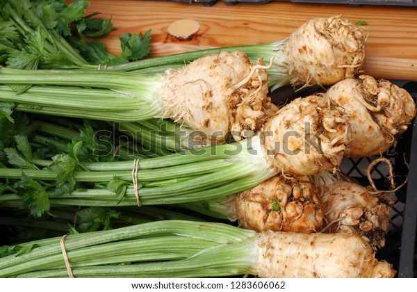 Celery. Fresh organic celery stalk with leaves and\
roots. Healthy eating concept. Green vitamin food. Diet and gluten\
free food. Salads. Celery root with leaves. Whole celeriac with\
leaves