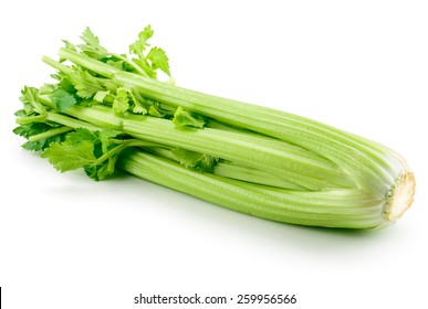 Celery isolated on white background - Shutterstock ID 259956566