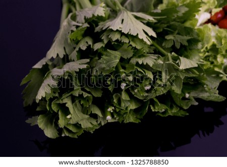 Image, Stock Photo Fresh leaf salad on a board with text space on the left