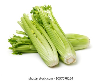 Celery On A White Background