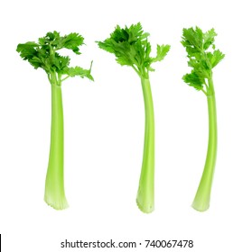 Celery on White Background - Shutterstock ID 740067478