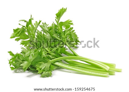 Celery on White Background 