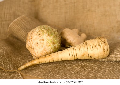 celery, parsley root and ginger on burlap background