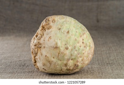 Celery root on the background of rough burlap texture.