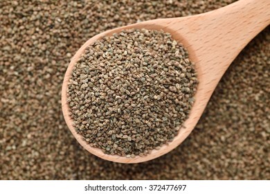 Celery Seed