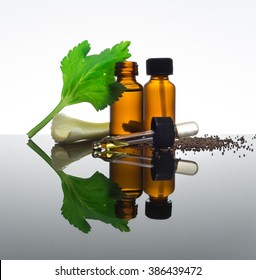 Celery seeds essential oil in amber bottle with dropper, with celery stick, seeds and leaf.