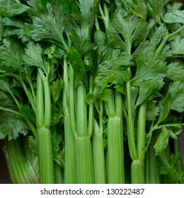 Celery Stalks Close Up