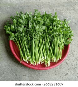 Celery is a type of vegetable with light green stems and leaves. Celery is often used as a flavoring and garnish in various dishes, such as soups, salads, and stir-fries. Celery has a crunchy texture 