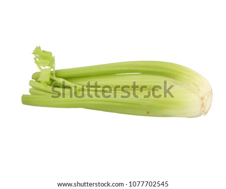 Celery whole head
