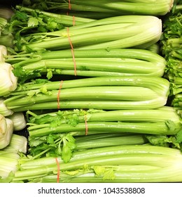 Celery,Apium Graveolens Var. Dulce,garden Fresh Vegetable