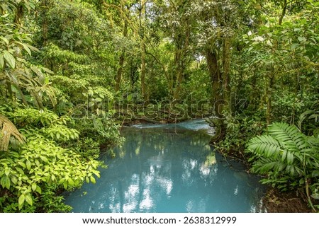 The Celeste River in the Tenorio Volcano National Park in Costa Rica