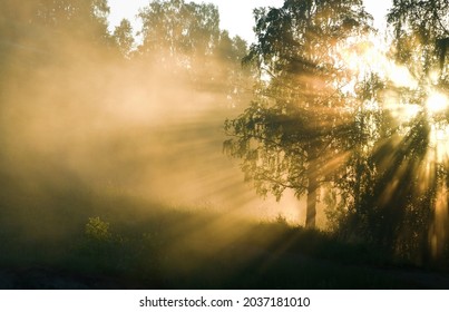 Celestial beauty is inexpressible in words. Rays of morning sun break through branches of trees and loom in waves of fog. Such rays gave to idea of divine crown (aureole, seven rays of divine light) - Shutterstock ID 2037181010