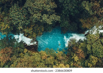Celestial river in a lush rainforest.