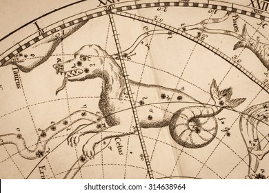 Celestial View Antique Stock Photo 314638964 | Shutterstock