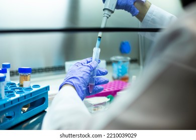 cell culture at the biology and cell culture laboratory
