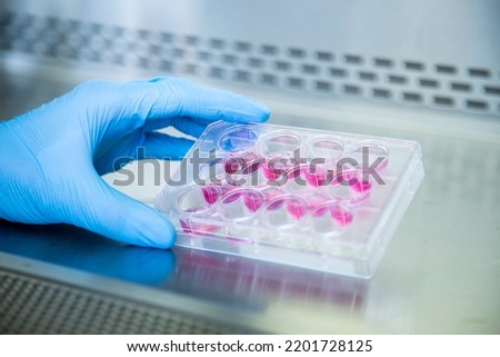 Cell culture at the cell culture,genetic,bioprocess,medicine and medical labrotory