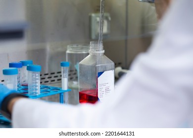 Cell Culture Experiments In Safety Cabinet At Cell Culture Laboratory