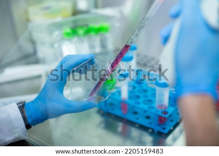 cell culture at the cell culture laboratory and medicine, medical 