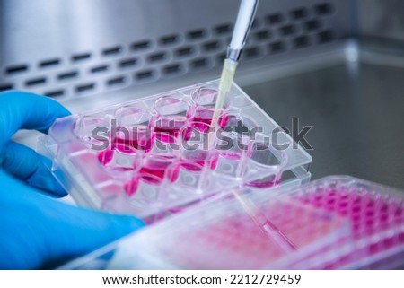 cell culture at the cell culture, medicine, medical and biology laboratory