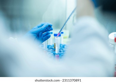 cell culture at the medicine, medical and cell culture laboratory - Powered by Shutterstock