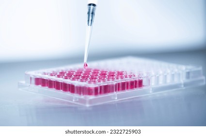 cell culture at the medicine, medical and cell culture laboratory