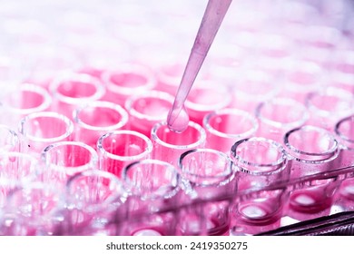 cell culture at the medicine, medical and cell culture laboratory, science research - Powered by Shutterstock