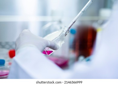 
Cell Culture and Stem Sell Culture Products tissue culture flaks cell biology laboratory equipment 