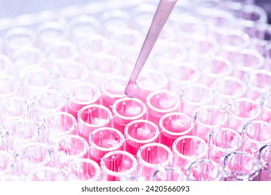 cell culture in the well plate, bioengineering laboratory - Powered by Shutterstock