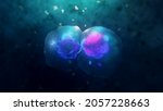 Cell division under a microscope. Cloning Cells. Cell mitosis.
