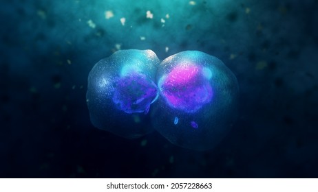 Cell division under a microscope. Cloning Cells. Cell mitosis.