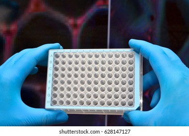 Cell technologies in biological research. 96-well microtiter plate with scientific samples.
