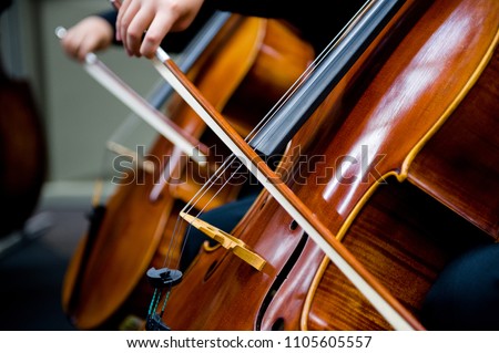 Cello Bow Instrument 