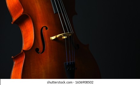 Cello Closeup On Dark Gray Background