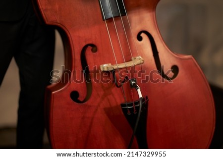cello, double bass on stage. The magnificent double bass. Close up of contrabass on stage. horizontal image