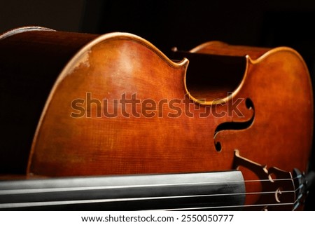 cello front close up, classical music background, classic string instrument, violin texture wooden backgrounds, musical instrument on a dark black background